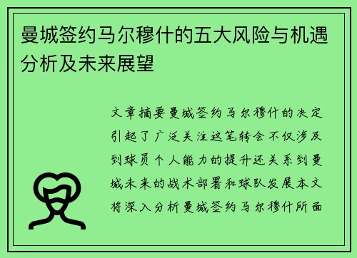 曼城签约马尔穆什的五大风险与机遇分析及未来展望